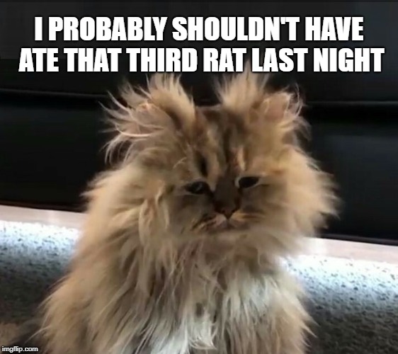 The Day After Imgflip