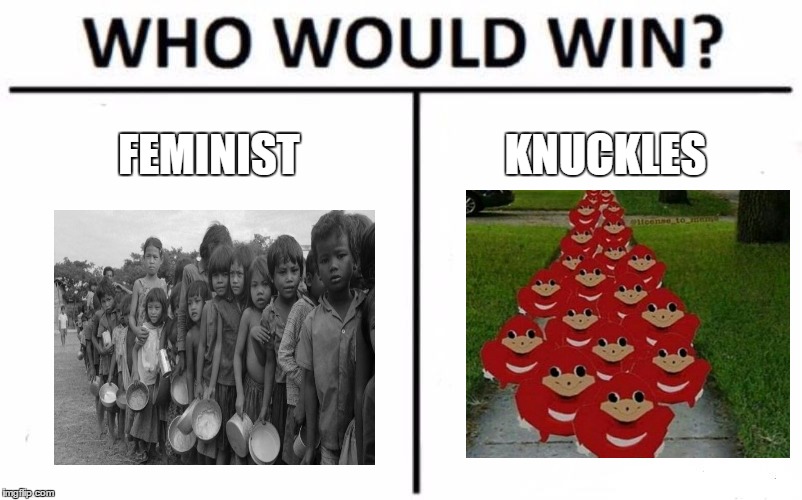 Who Would Win? Meme Imgflip