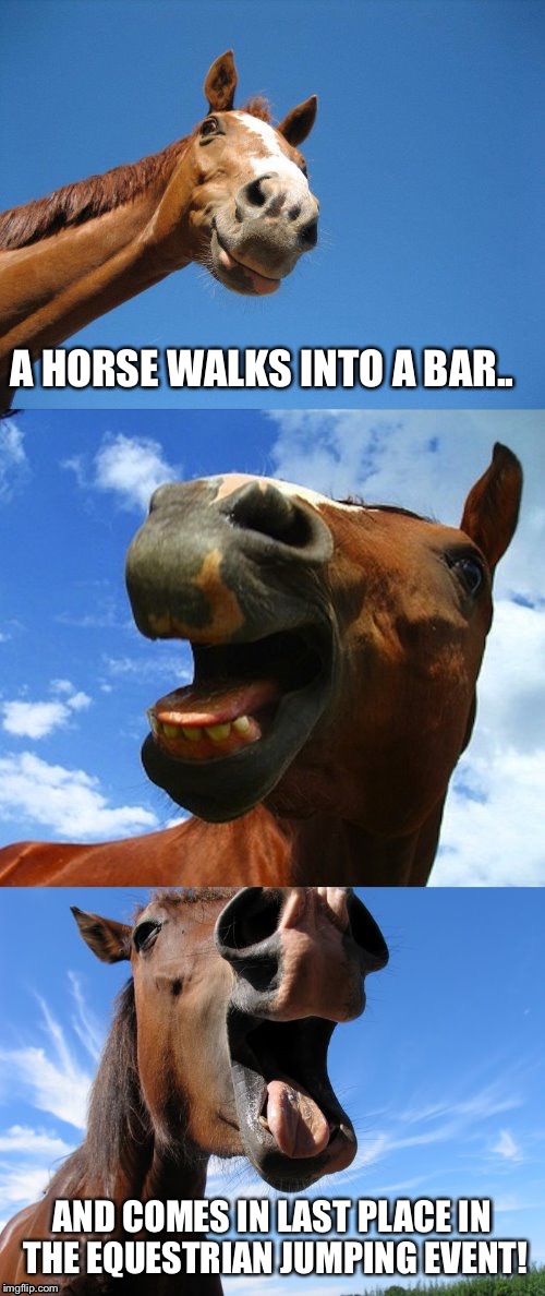 A horse walks into a bar.. Imgflip