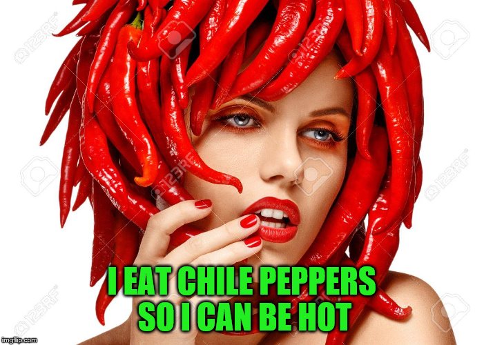Chili Contest Meme Chilli memesmonkey dawg kentai prirewe