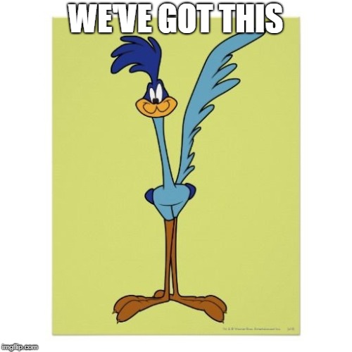 roadrunner Memes & GIFs Imgflip