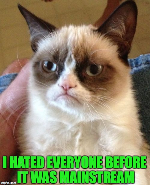 Grumpy Cat Meme Imgflip