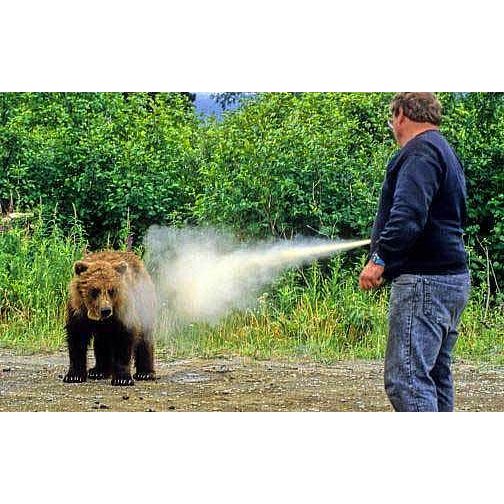 Bear Pepper Spray Memes Imgflip