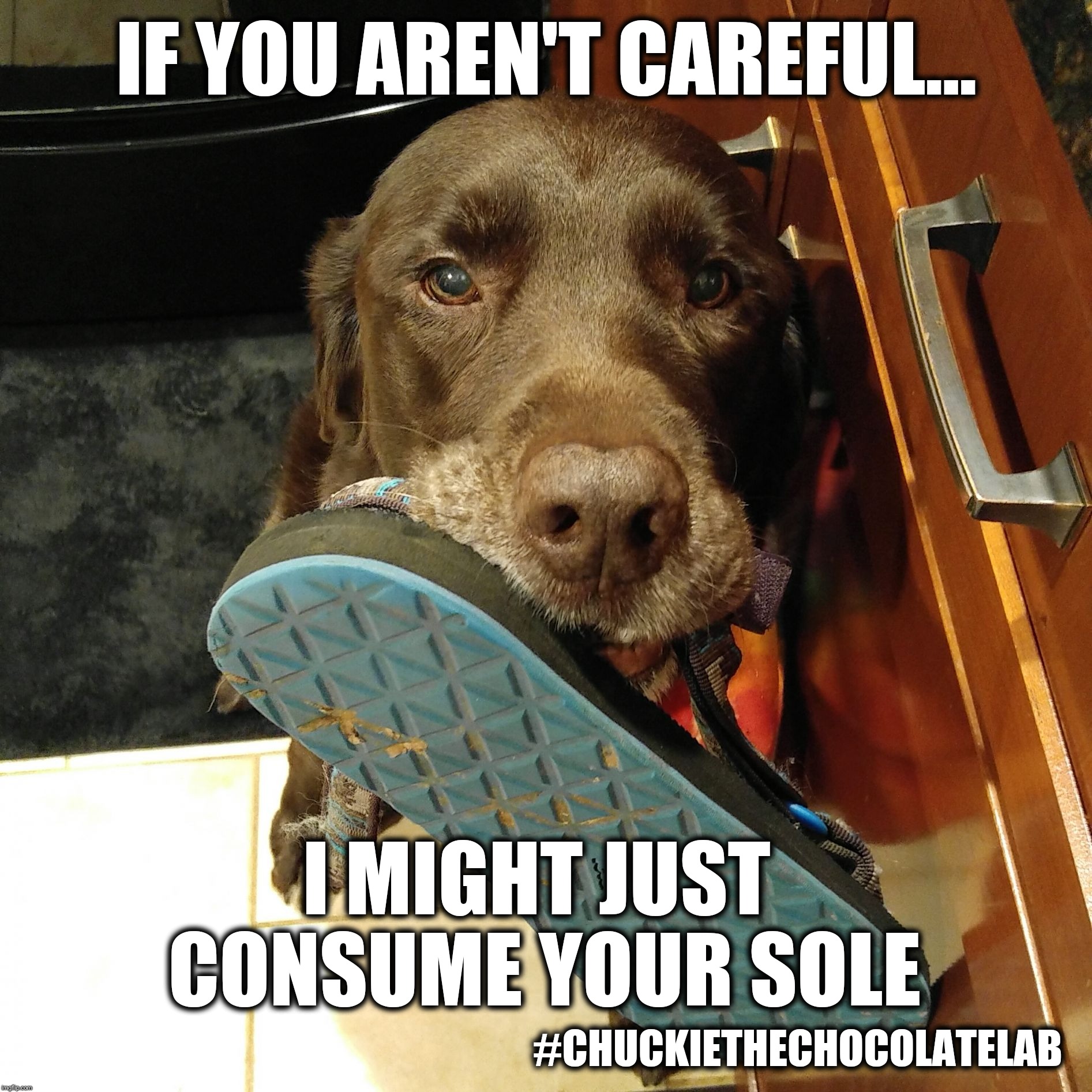 If you aren't careful I might just consume your sole Imgflip