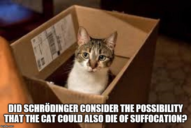 Image tagged in schrodinger's cat,another possibility Imgflip