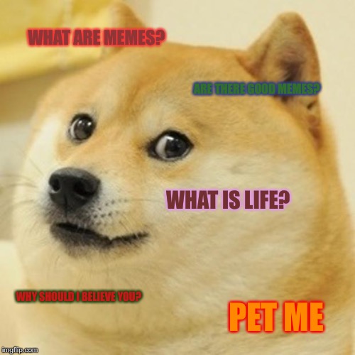 Doge Meme Imgflip