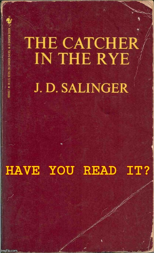 The Catcher in the Rye Imgflip