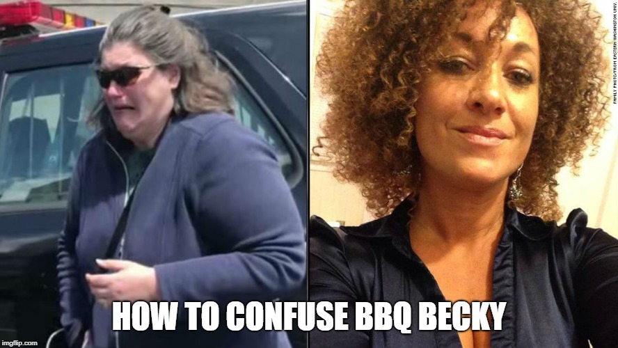 Bbq Becky Cat Meme