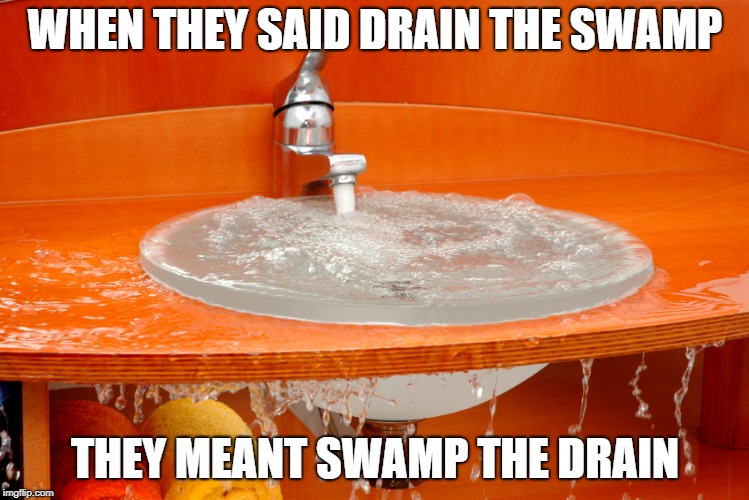 Drain the Swamp Imgflip
