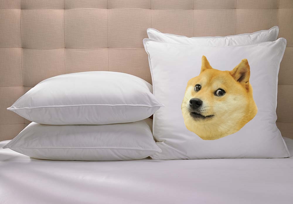 "Doge" Meme Templates Imgflip