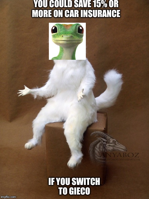 Persian Cat Room Guardian Single Meme Imgflip