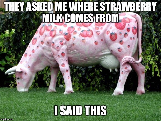 Strawberry Milk Imgflip