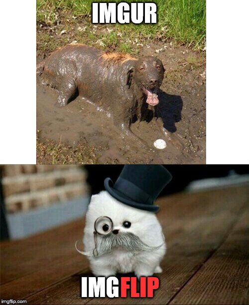 imgur Memes & GIFs Imgflip