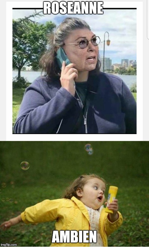 Image tagged in roseanne barr Imgflip