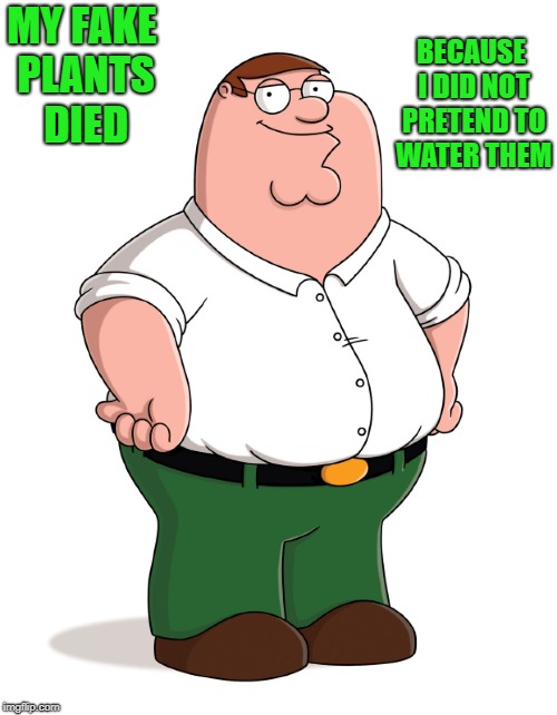 my fake plants died Imgflip