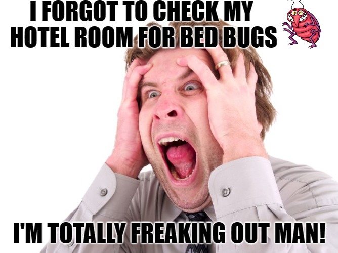 Stress head freaking out Memes Imgflip