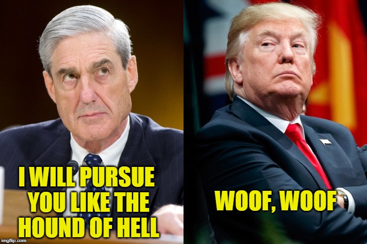 All Bark, No Bite Imgflip