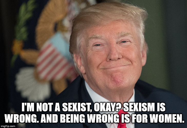 Image tagged in sexism Imgflip