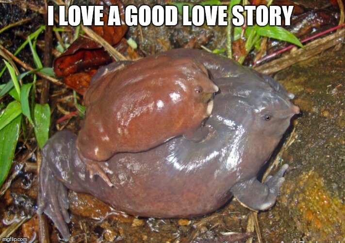 A man, a frog and a mountain. Frog Week June 410, a JBmemegeek