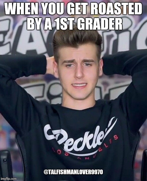 Image tagged in funny memes,roasted Imgflip