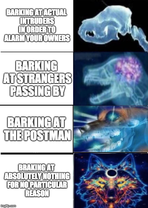 EXPANDING_BRAIN_MEMES's Images Imgflip