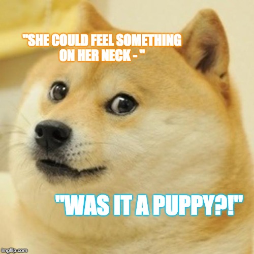 Doge Meme Imgflip