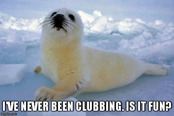 Baby Seal Meme Meme Baby