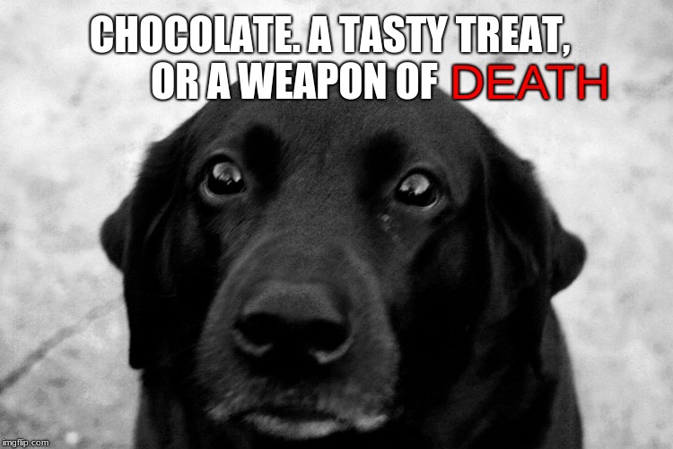 tasty treat or a weapon of death Imgflip