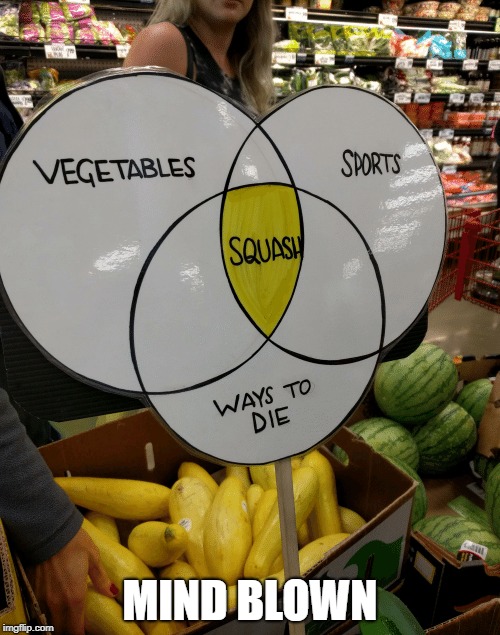 and thats how squash were made Imgflip