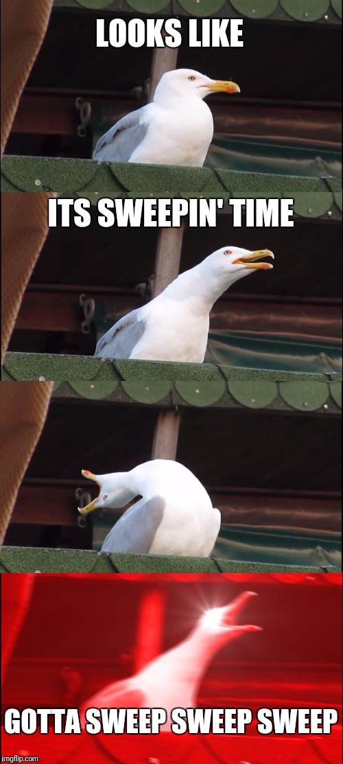 Inhaling Seagull Meme Imgflip