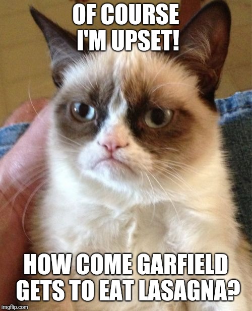 Grumpy Cat Meme Imgflip