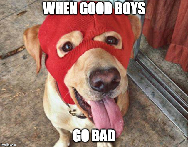 Bet he had a ruff life. Imgflip