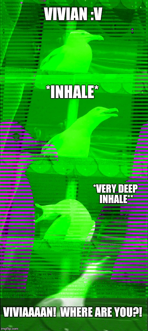 Inhaling Seagull Latest Memes Imgflip