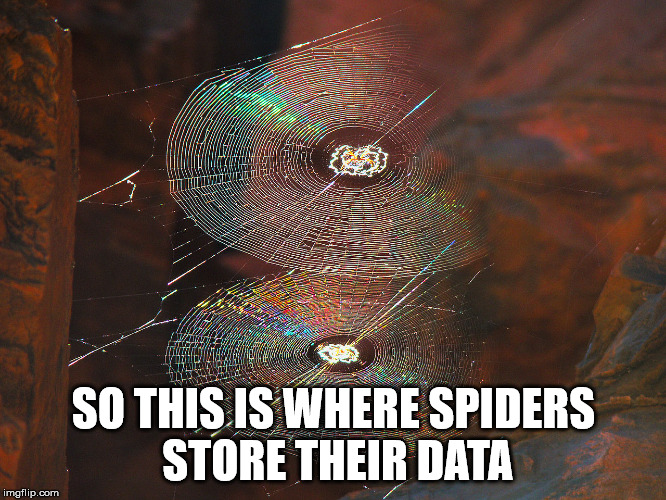 So this is where spiders store their data... Imgflip