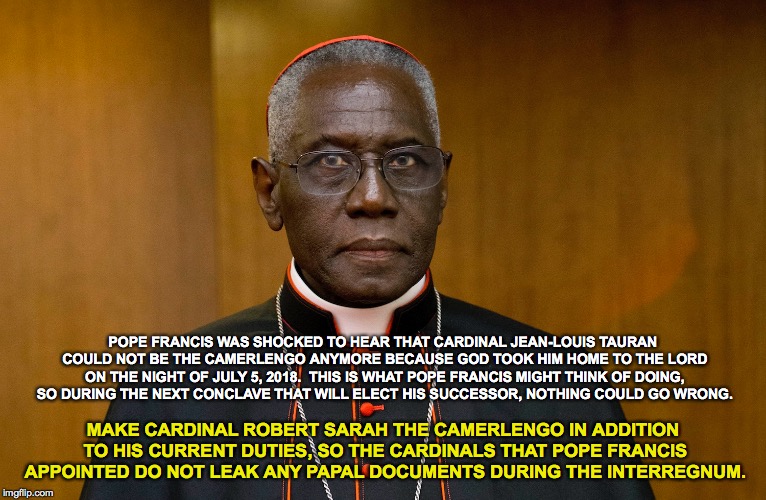 Why Pope Francis Should Make Cardinal Robert Sarah The Camerlengo Imgflip