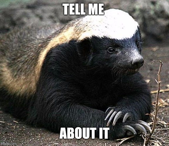 He doesn't give a flying rodents patoot Imgflip