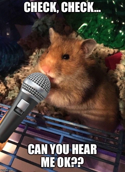 Let’s get this party started Imgflip