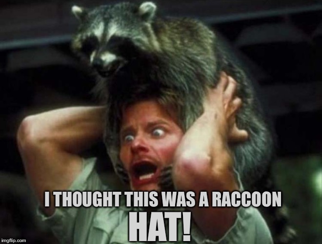 Funny Bear Skin Rug Pictures Carpet Vidalondon