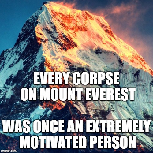Everest College Memes