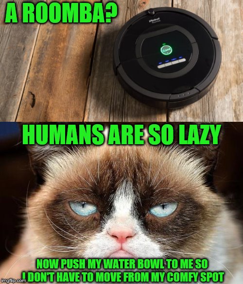 roomba Memes & GIFs Imgflip