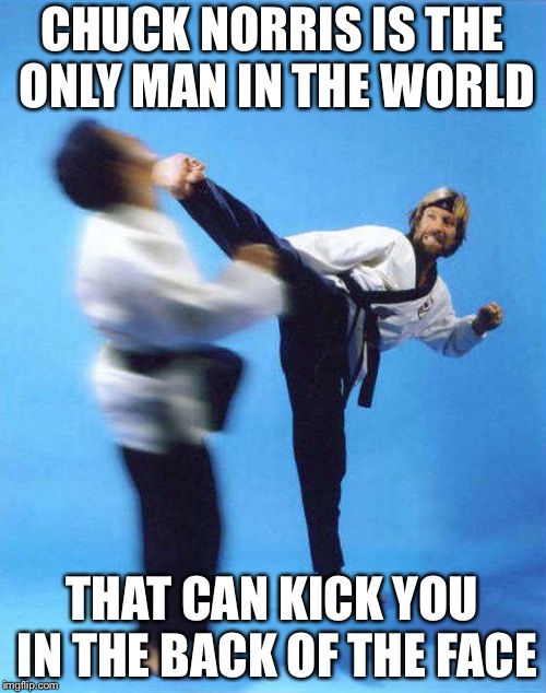 Roundhouse Kick Chuck Norris Imgflip