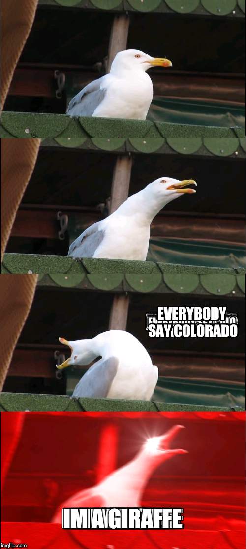 Inhaling Seagull Meme Imgflip