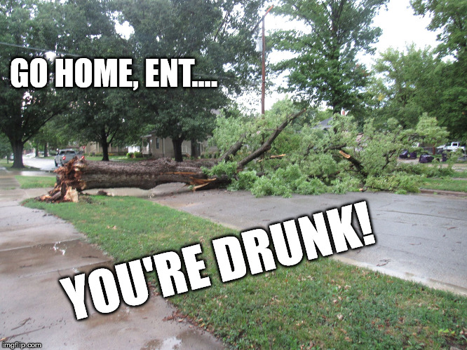 Go home, Ent...you're drunk! Imgflip