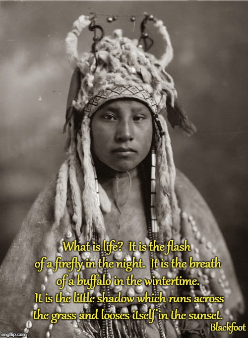 Blackfoot Woman Imgflip
