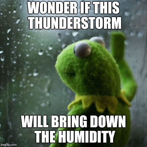 It's Not The Heat Imgflip