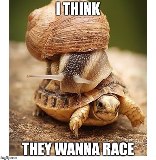 Speed Up or Slow Down Imgflip