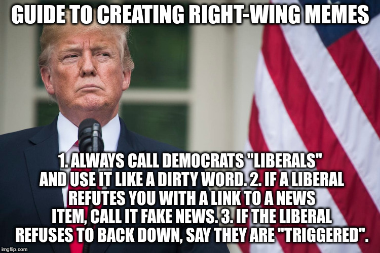 Easy instructions for creating rightwing memes Imgflip