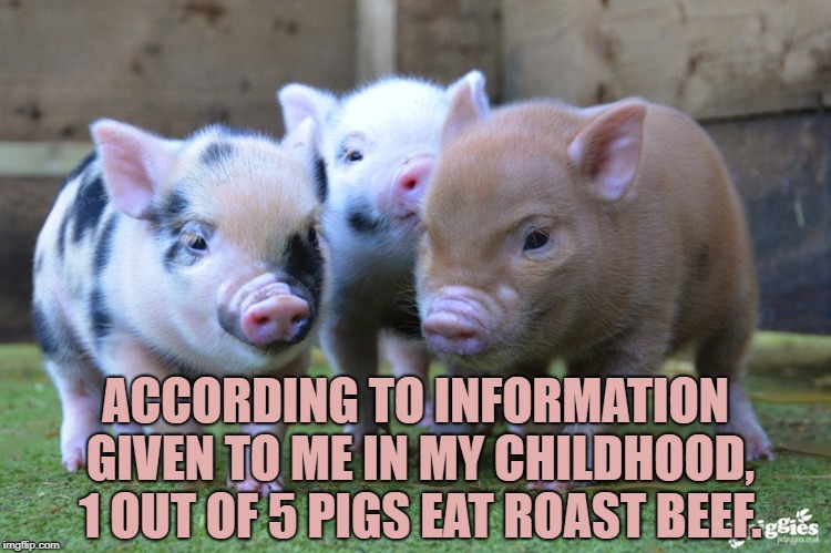 Better Keep it That Way... Funny pig pictures, Funny pigs, Funny.