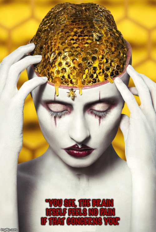 deceit Memes & GIFs Imgflip