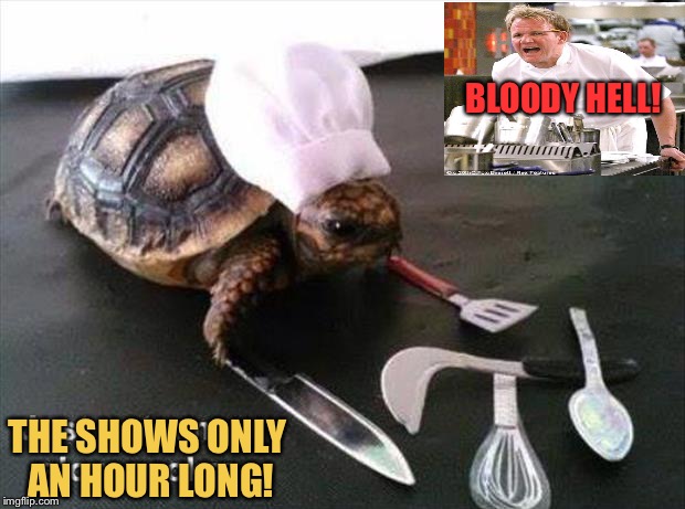 Don't ask him to make turtle soup. Imgflip